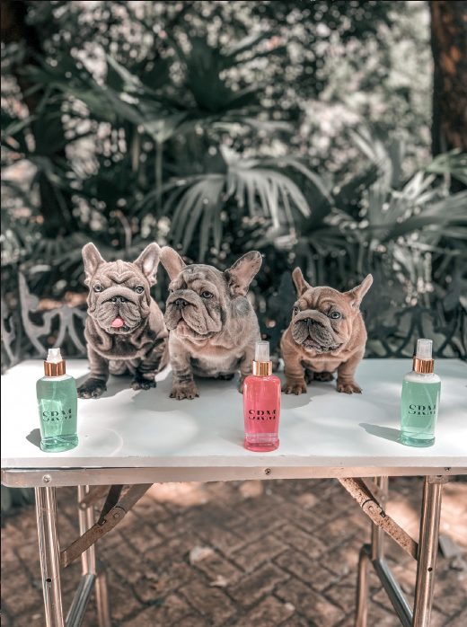 Captura de pantalla 2025-10-27 231903 Perfume para Mascotas – Macho