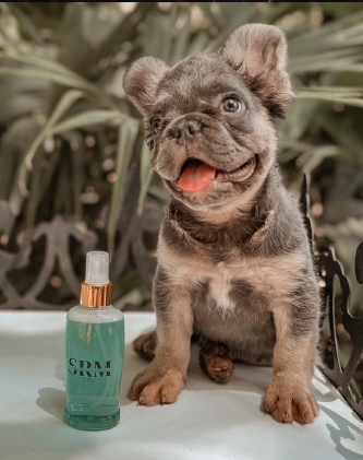 Captura de pantalla 2025-10-27 231908 Perfume para Mascotas – Hembra