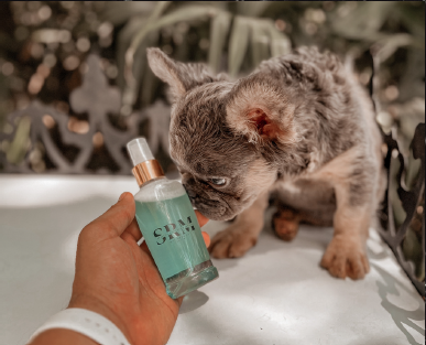 Captura de pantalla 2025-10-27 231915 Perfume para Mascotas – Hembra